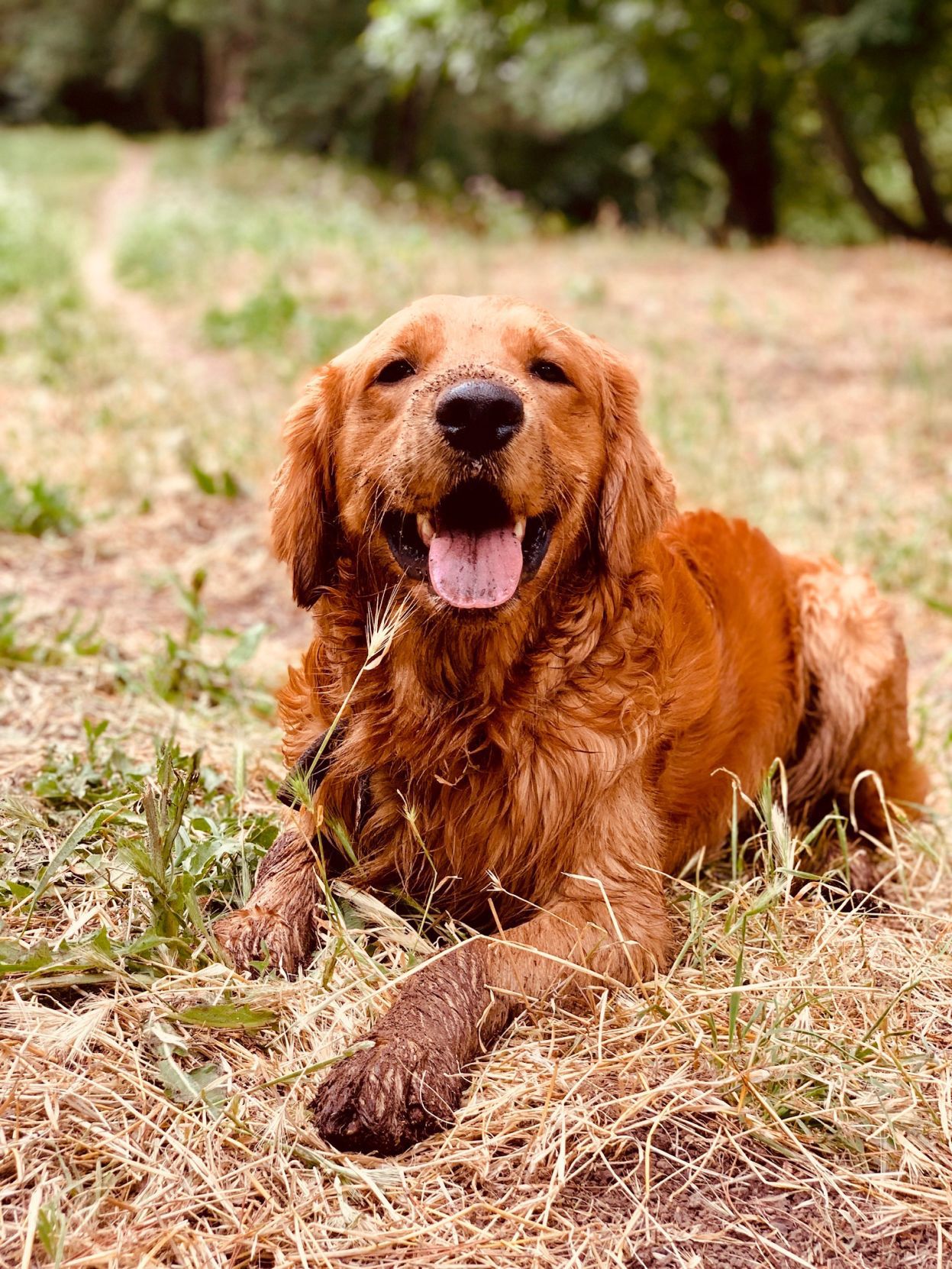 Sawyer